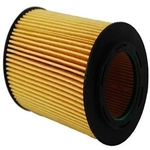 Order Oil Filter Element by AUTO 7 - 012-0051 For Your Vehicle